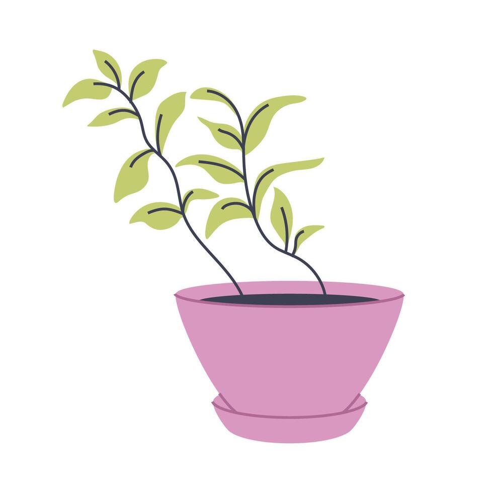 Plant with green leaves in a pink pot, illustration. Great for various botanical and nature designs. vector