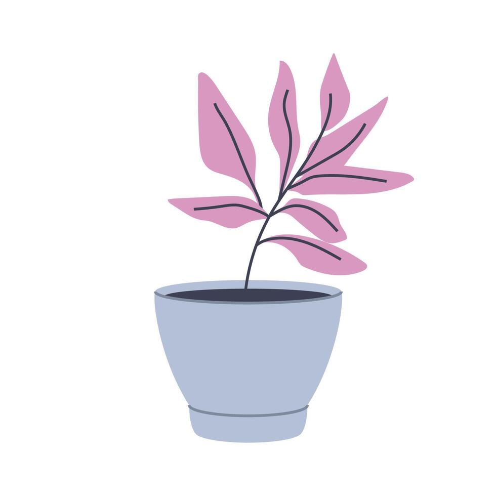 Plant with pink leaves in a pot. Ideal for modern and natural designs. vector