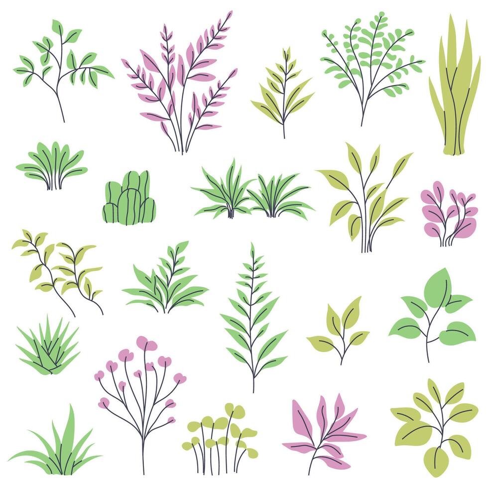 Set of houseplants, twigs and leaves. Cliparts for creating minimalist and modern plant designs vector