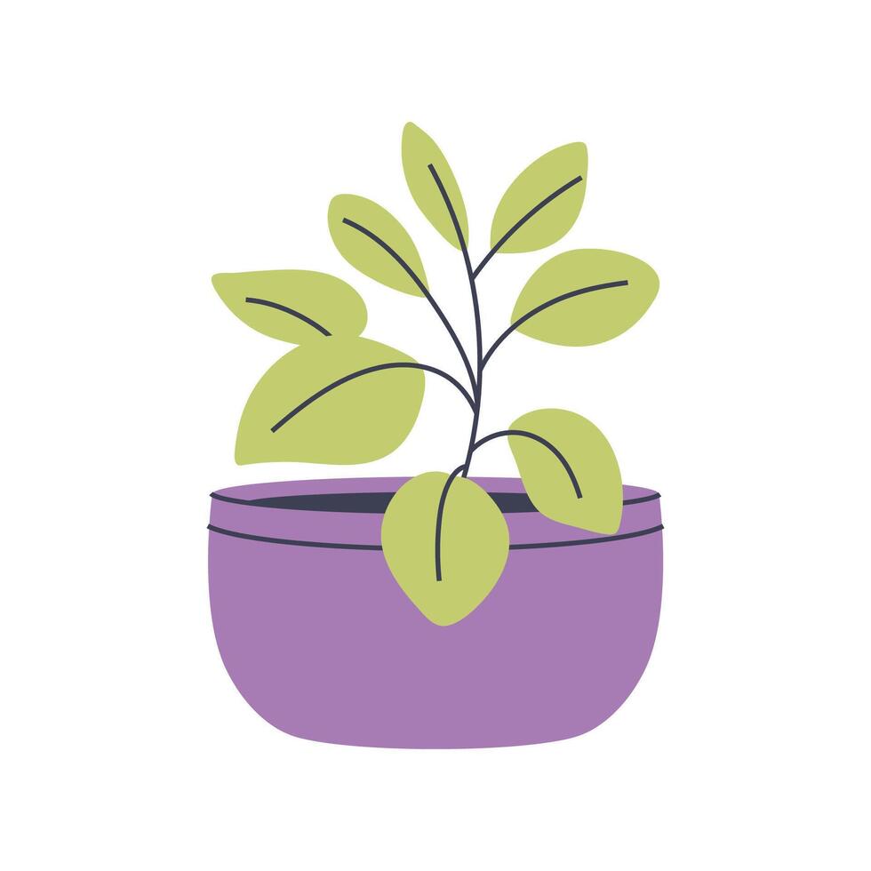 Plant with green leaves in purple pot, illustration. Great for various botanical and nature designs. vector