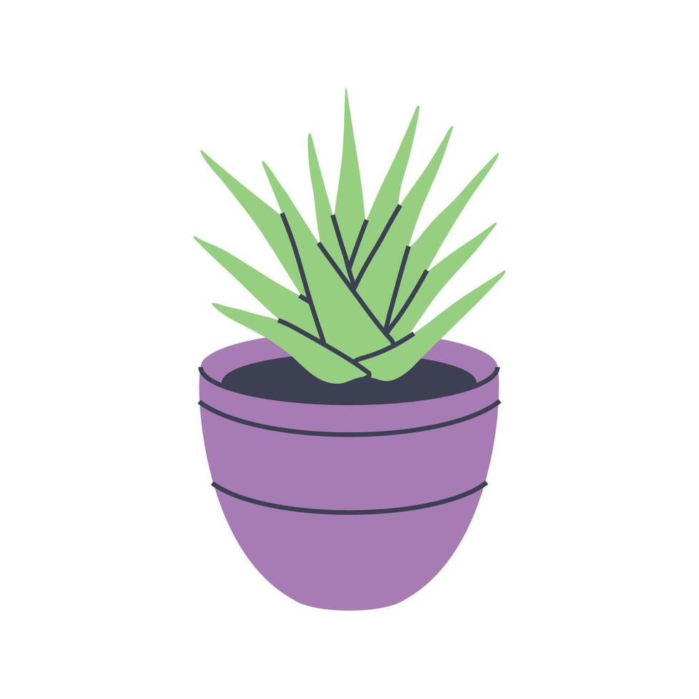 Simple illustration of an aloe vera in a purple pot. Perfect for minimalist and botanical designs. vector