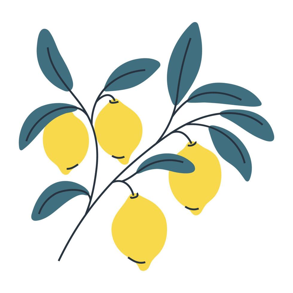 Minimalist illustration of four lemons on branch with leaves. Perfect for summer and food designs. vector