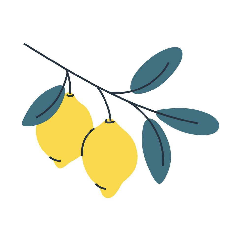 Simple illustration of two lemons on branch with leaves. Perfect for summer and food designs. vector