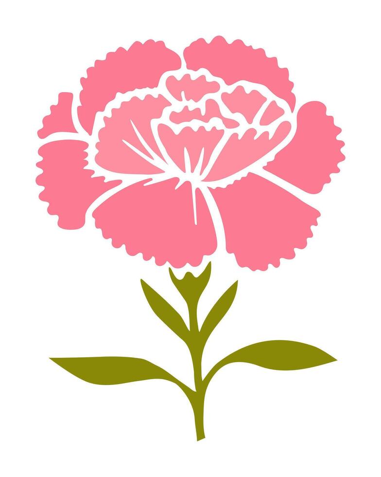 Carnation illustration isolated in white background vector
