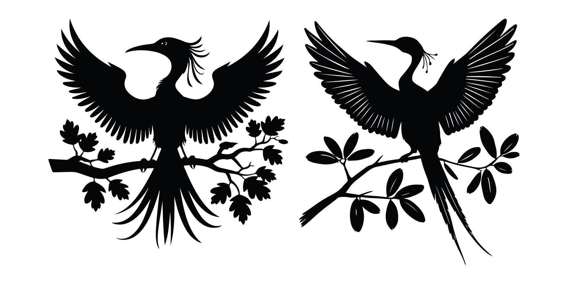 Elegant Birds Silhouettes on Branches vector