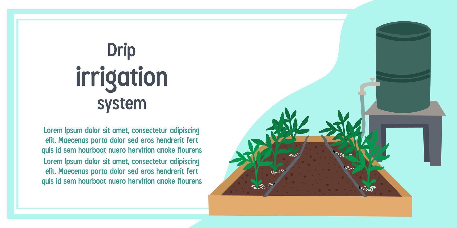 Drip Irrigation System Illustration vector