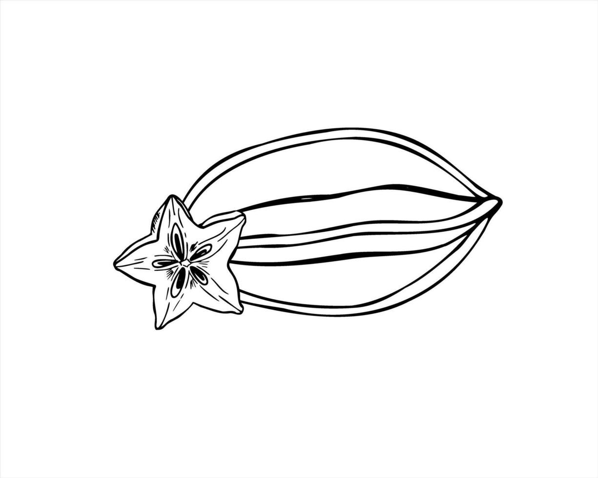 Tropical Asian carambola minimalist black ink illustration. Monochrome whole star fruit and star shaped slice engraving drawing composition. Food ingredient for packaging, menus, infographics. vector