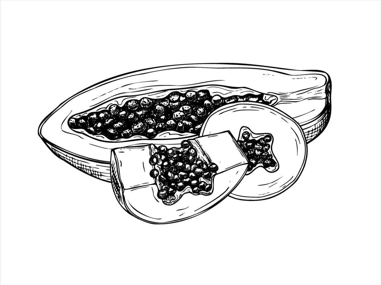 Half fruit and cross section slices with detailed seeds line ink illustration in black and white. Tropical sweet fruit hand drawn monochrome graphic sketch. For juice labels, food branding vector