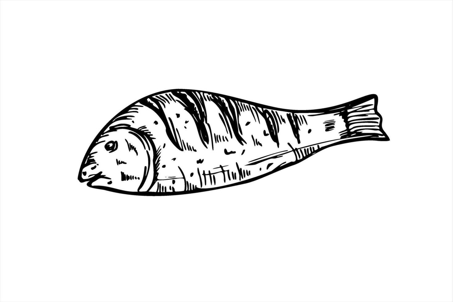 Whole grilled Mediterranean fish line art black ink sketch. Monochrome mullet or sea bream illustration. BBQ dorado for seafood restaurant menus, fish market branding, cooking blogs, vector