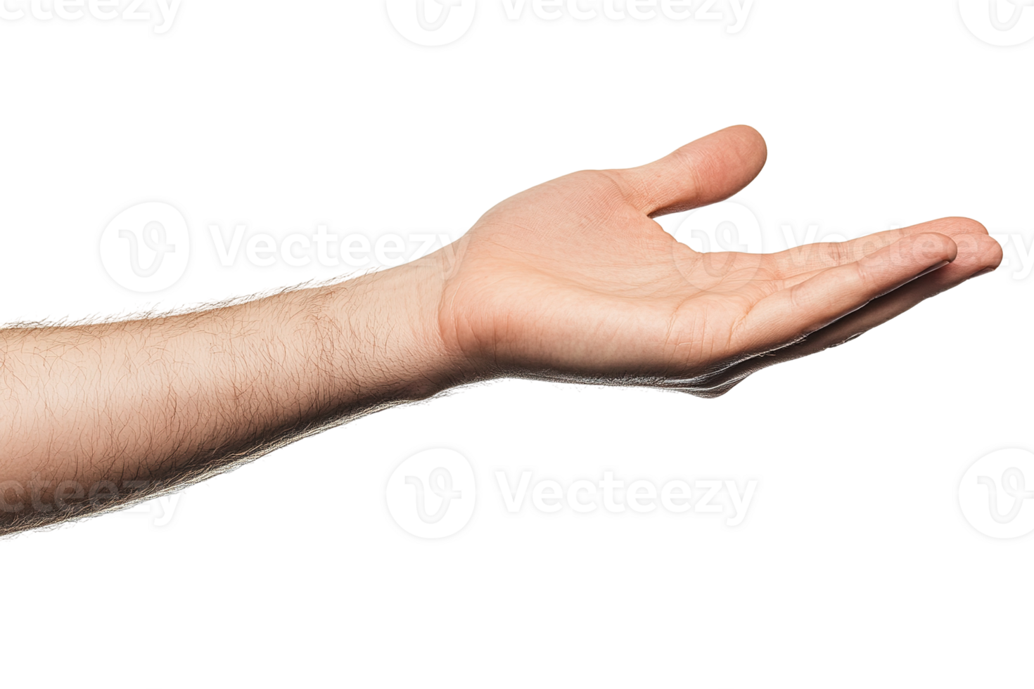 A fair skinned human hand presenting something with an open palm png
