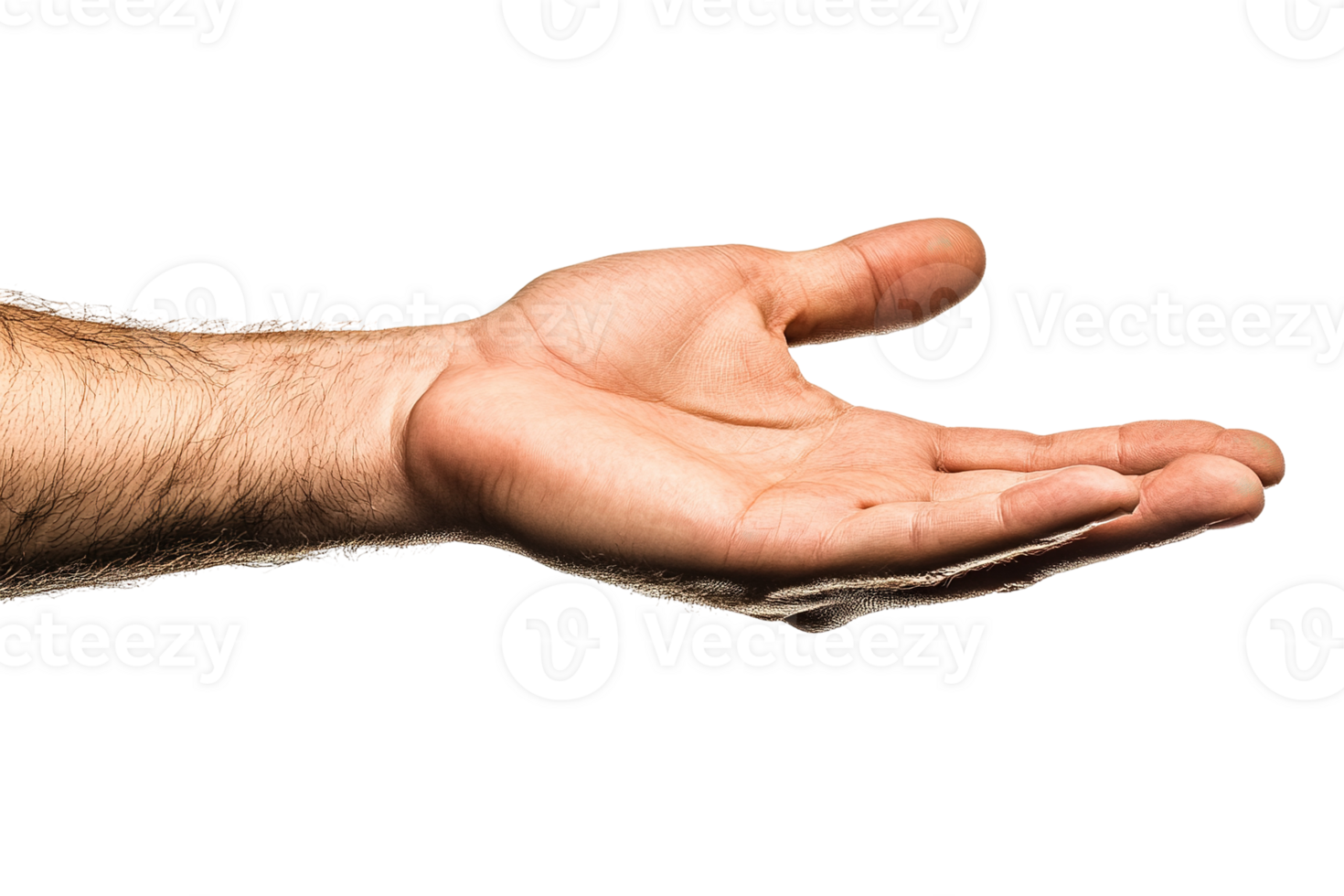 Human hand showing the palm open and presenting something for display png