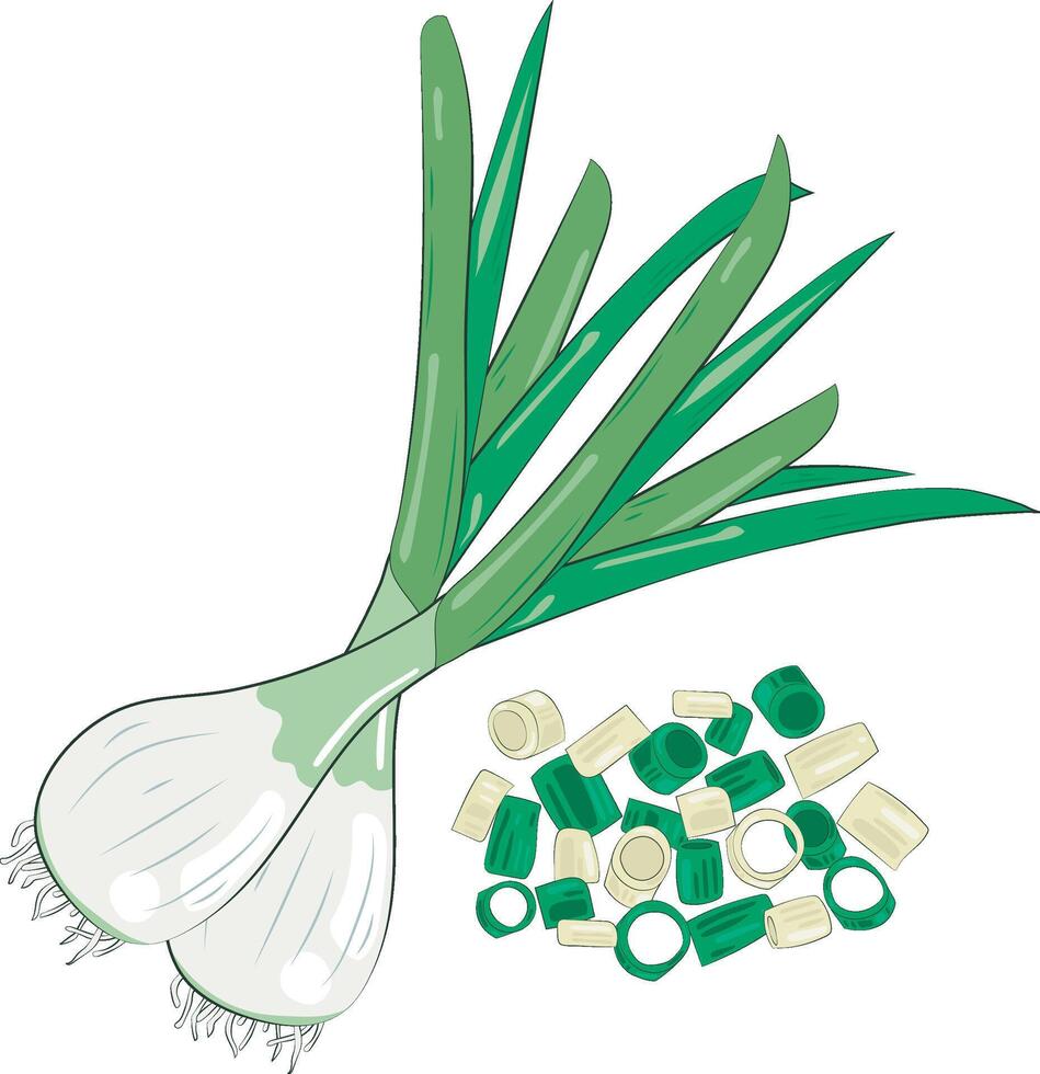 Chopped Green Onion Element Chives Slices Illustration Graphic Element vector