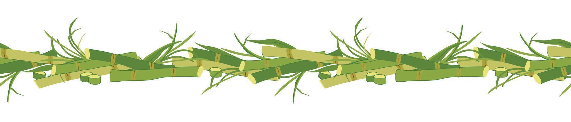 Seamless border of sugar cane with green leaves and yellow stems. pattern for eco products design. Cut out cane shoots in flat style on white background. Ingredient for making sugar, syrup, rum vector