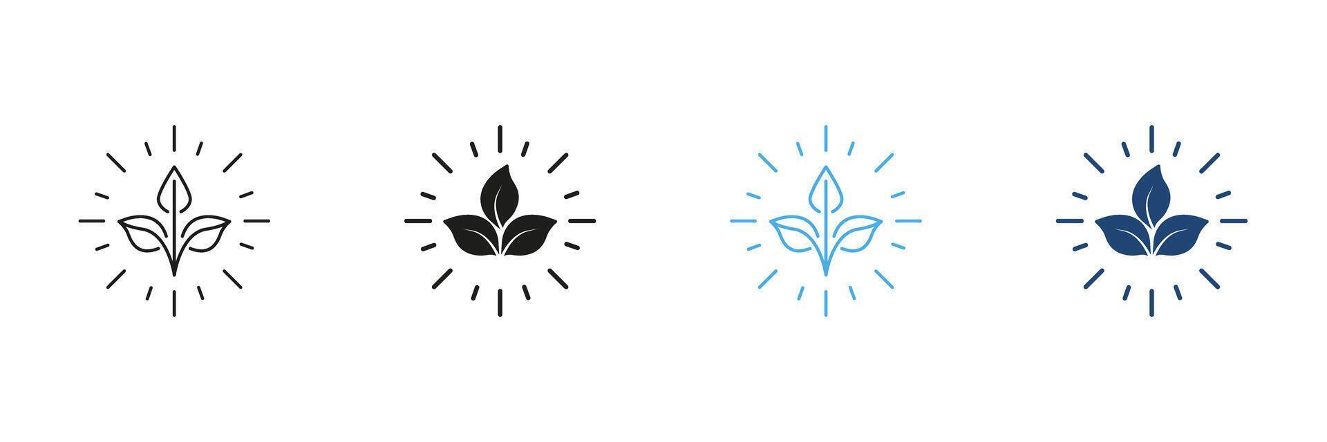 Eco Plant Line and Silhouette Icon Set With Radiating Lines, Healthy And Sustainable Food Choices Outline and Solid Icon. Eco-Friendly Products Sign. Editable Stroke. Isolated Illustration vector