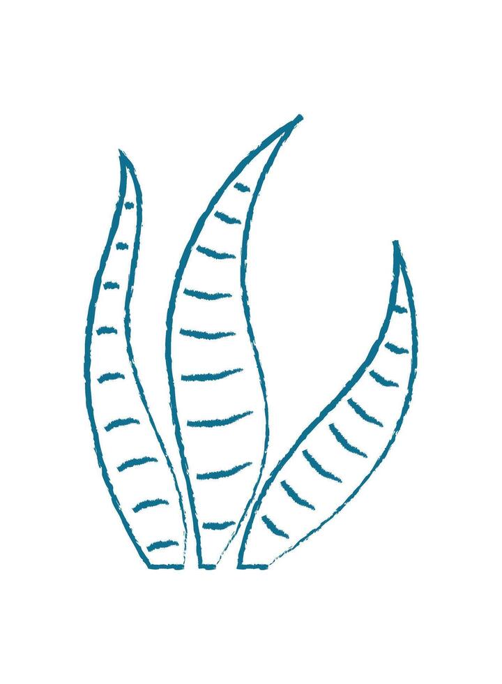Aquatic seaweed doodle. Underwater plant with a textured shape. Marine flora, unique visual style, perfect for summer designs or educational materials. vector