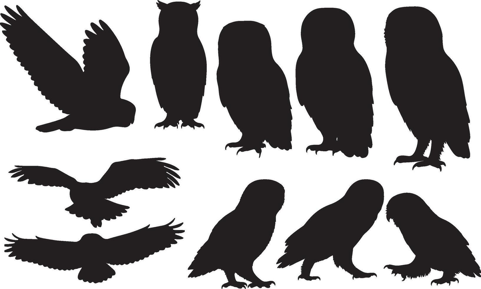Owl silhouettes set of different birds vector