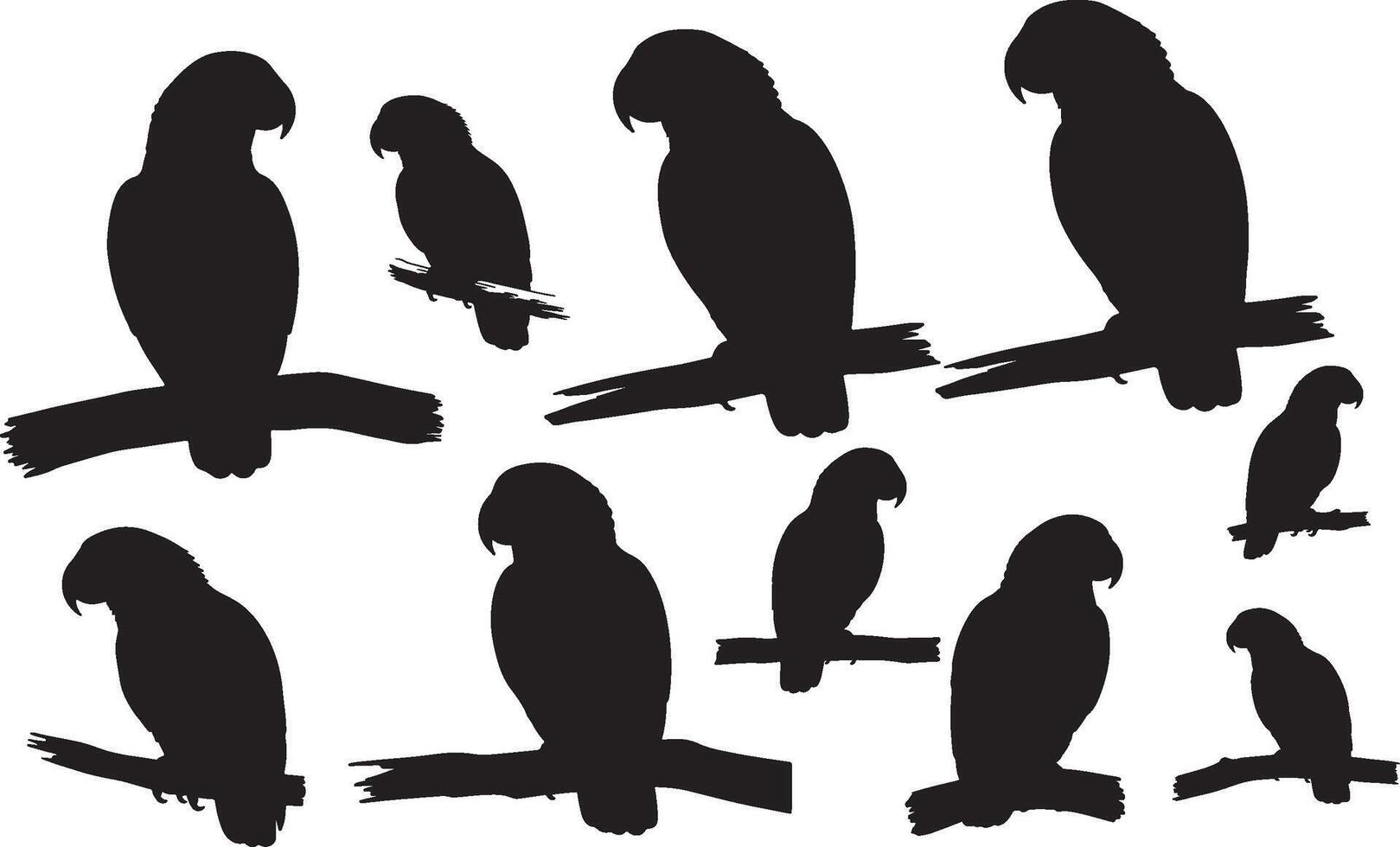A set of silhouettes of parrots on branches vector