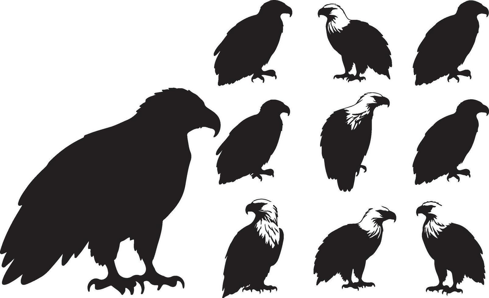 Eagle silhouette illustration vector