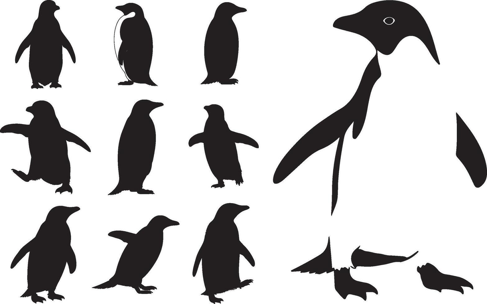 Penguin silhouette set illustration vector