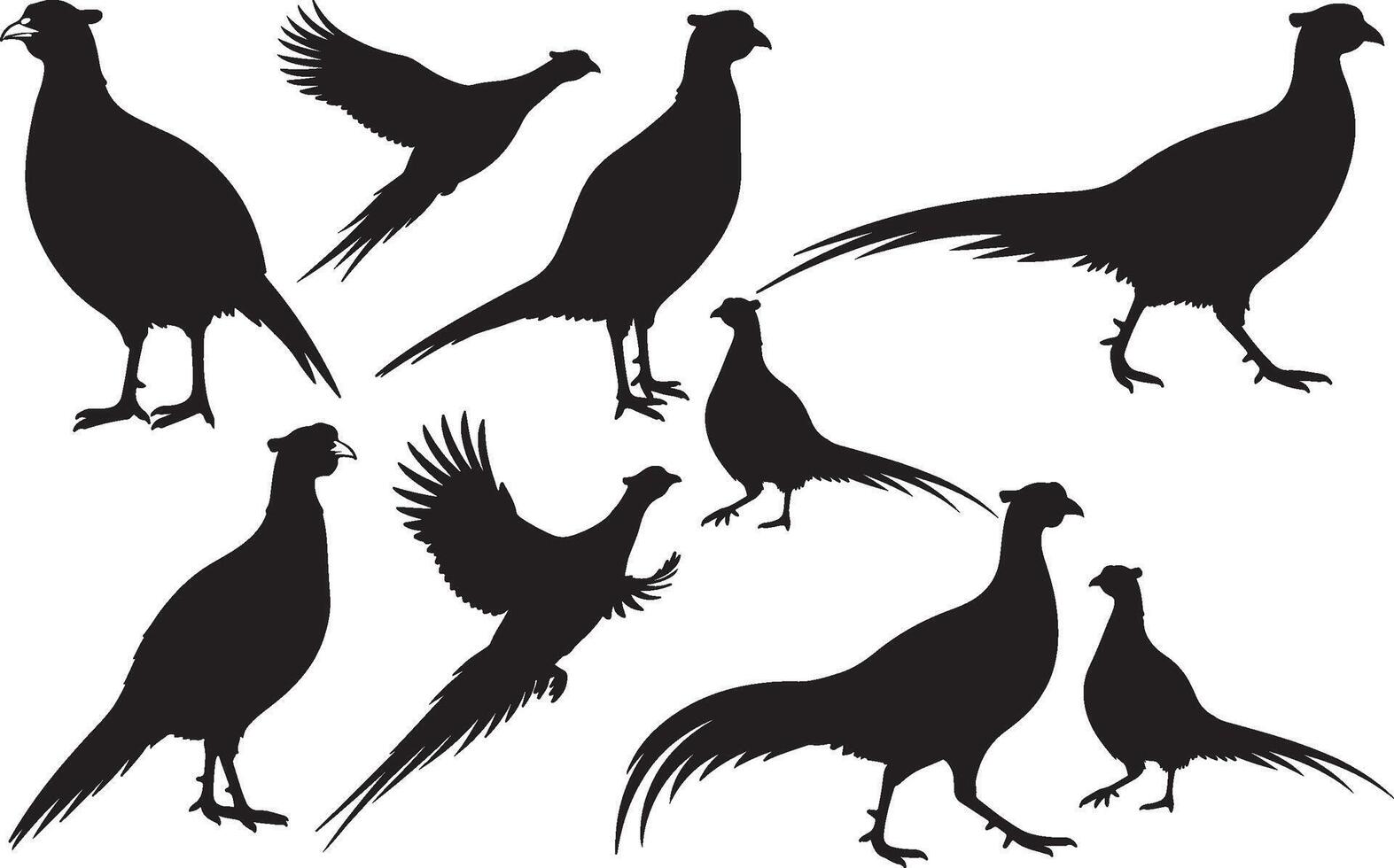 Set of pheasant silhouettes vector