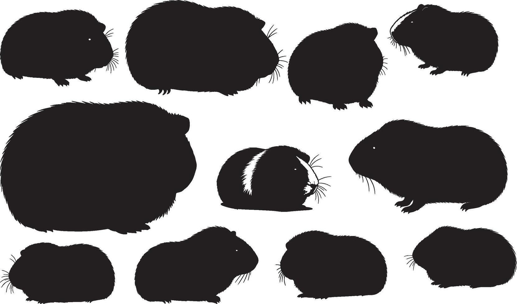 Guinea pig silhouettes illustration vector