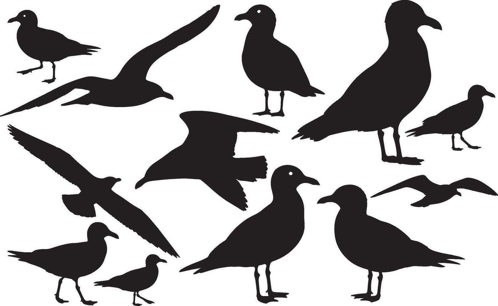 Seagull silhouettes illustration vector
