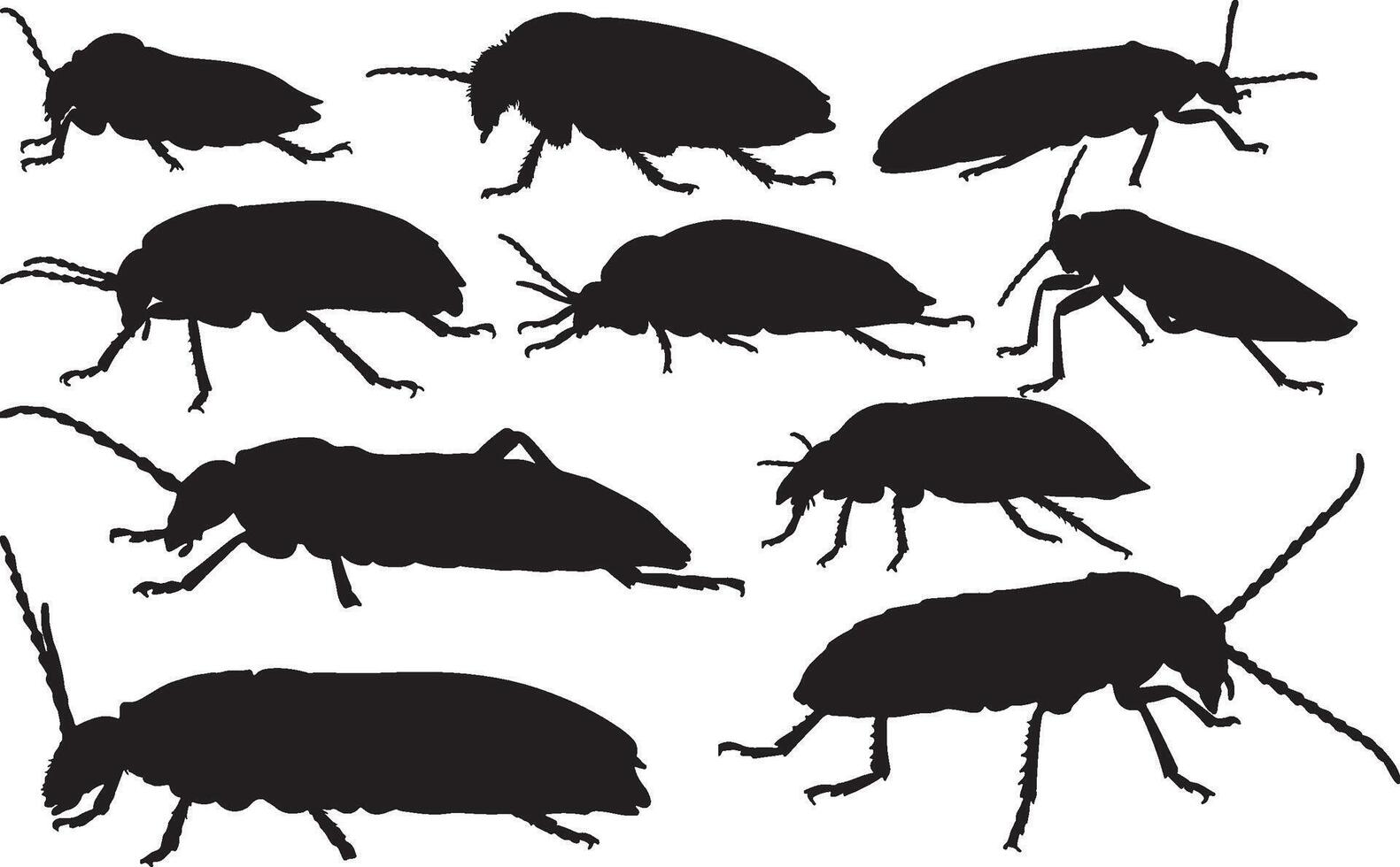 silhouette of bugs and beetles vector