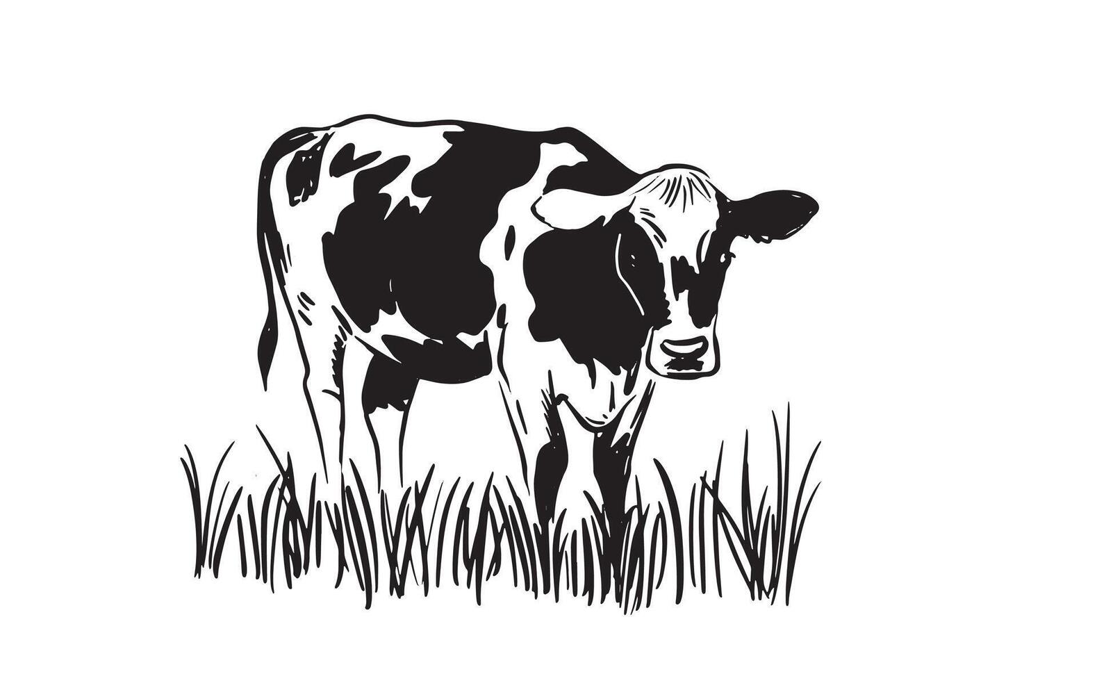 Black cow on the grass vector