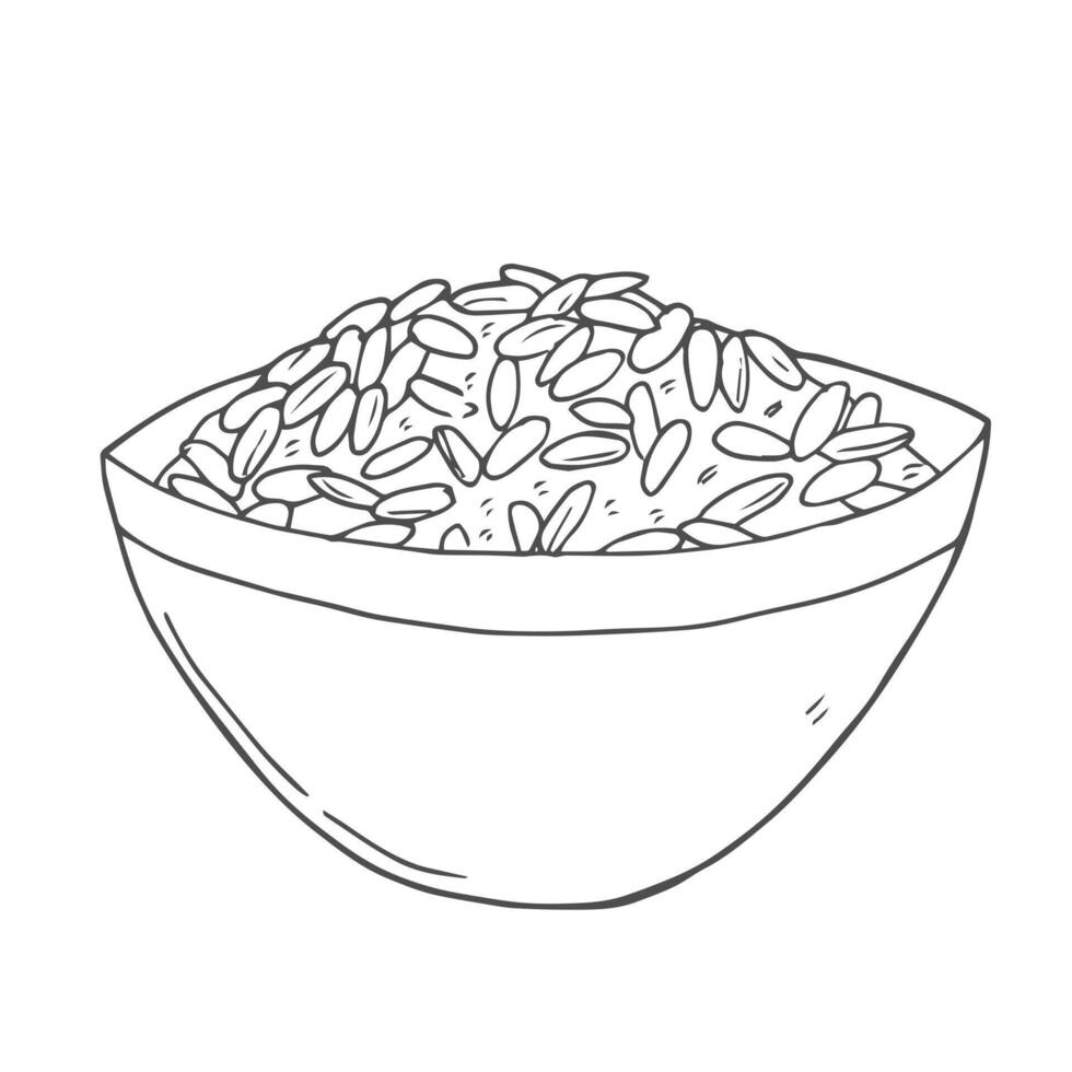 Rice. Cereal grain in plate, bowl. Hand drawn sketch illustration. vector