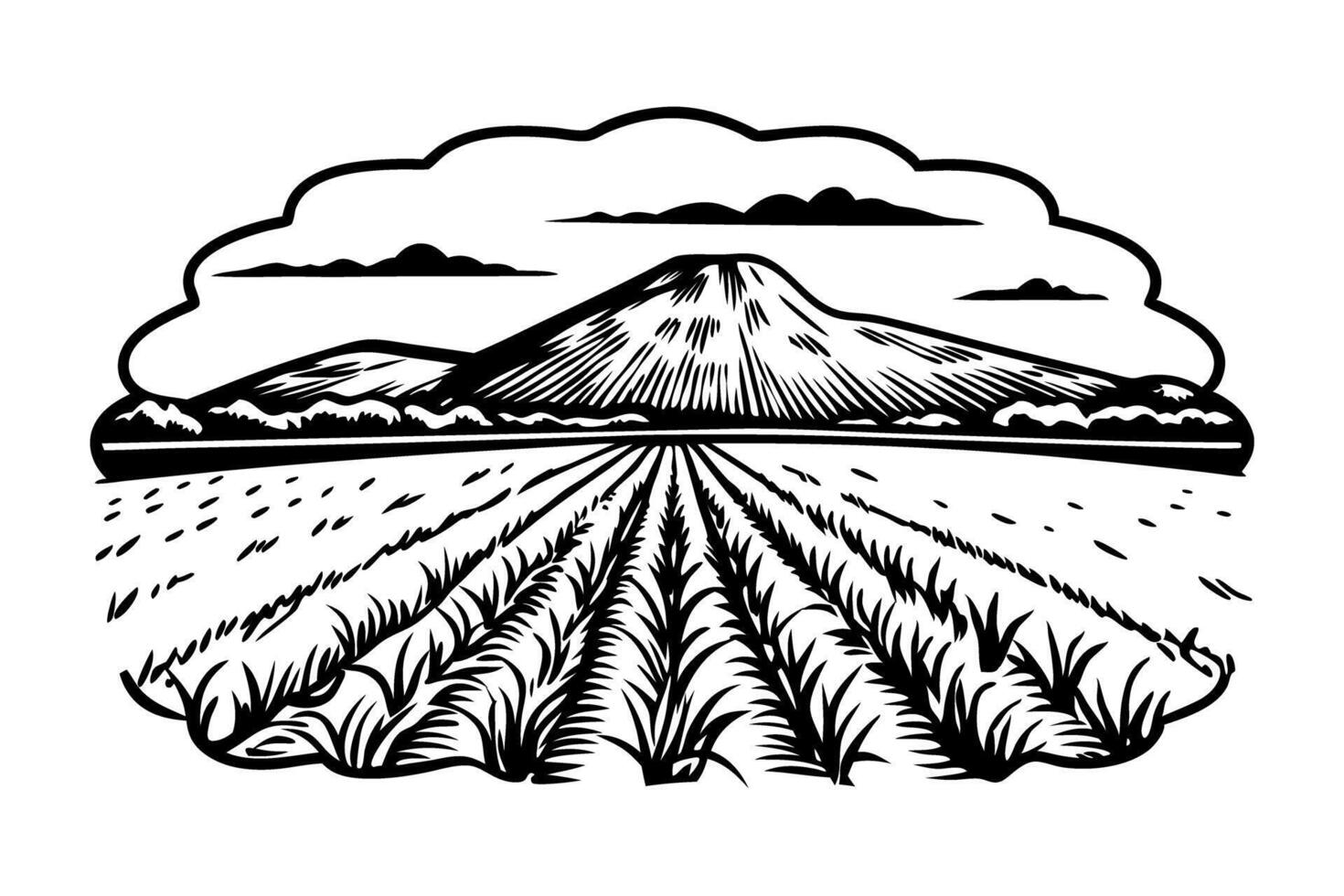 Mountain landscape with fields, stylized black and white line art illustration, nature scenery vector