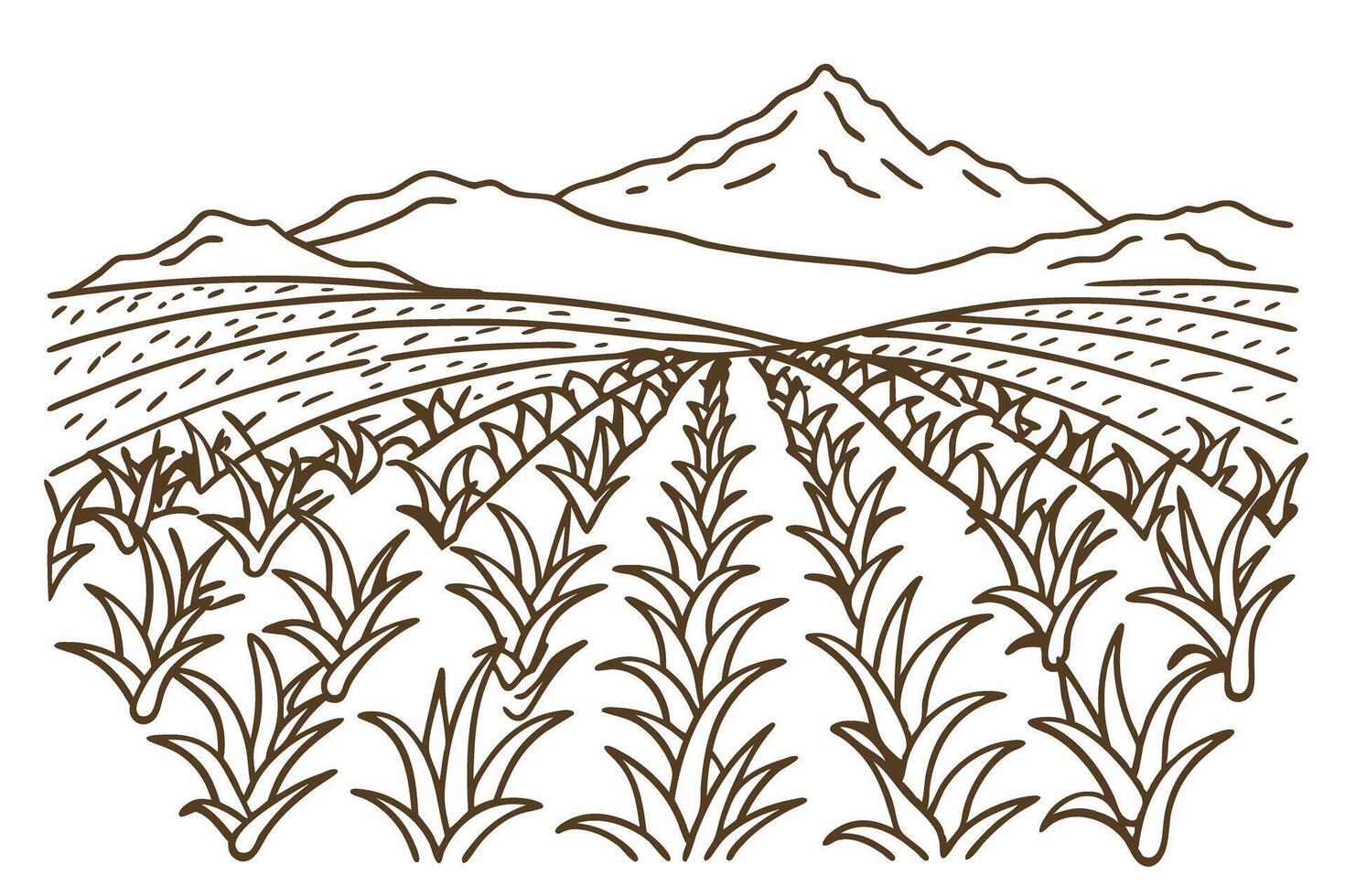 Vast agricultural field with mountains in the background, crops rows, rustic landscape illustration vector