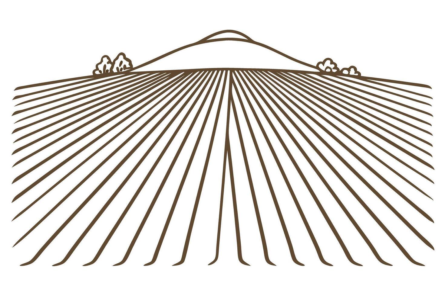 Minimalist landscape illustration with linear fields and horizon vector