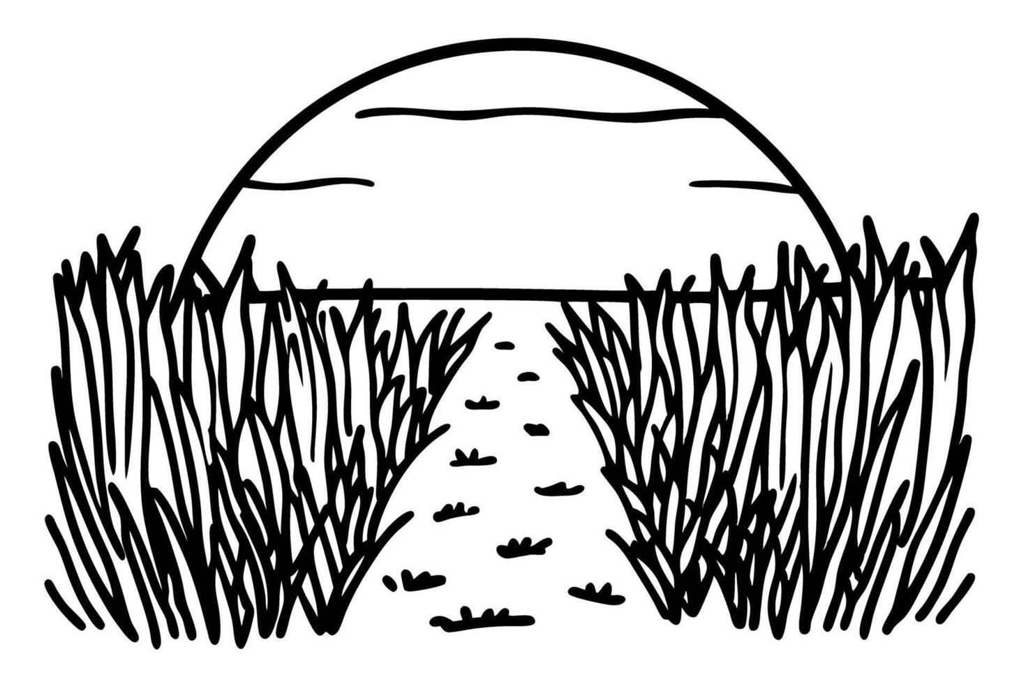pathway through tall grass at sunset, serene scenic nature view, tranquil landscape illustration vector