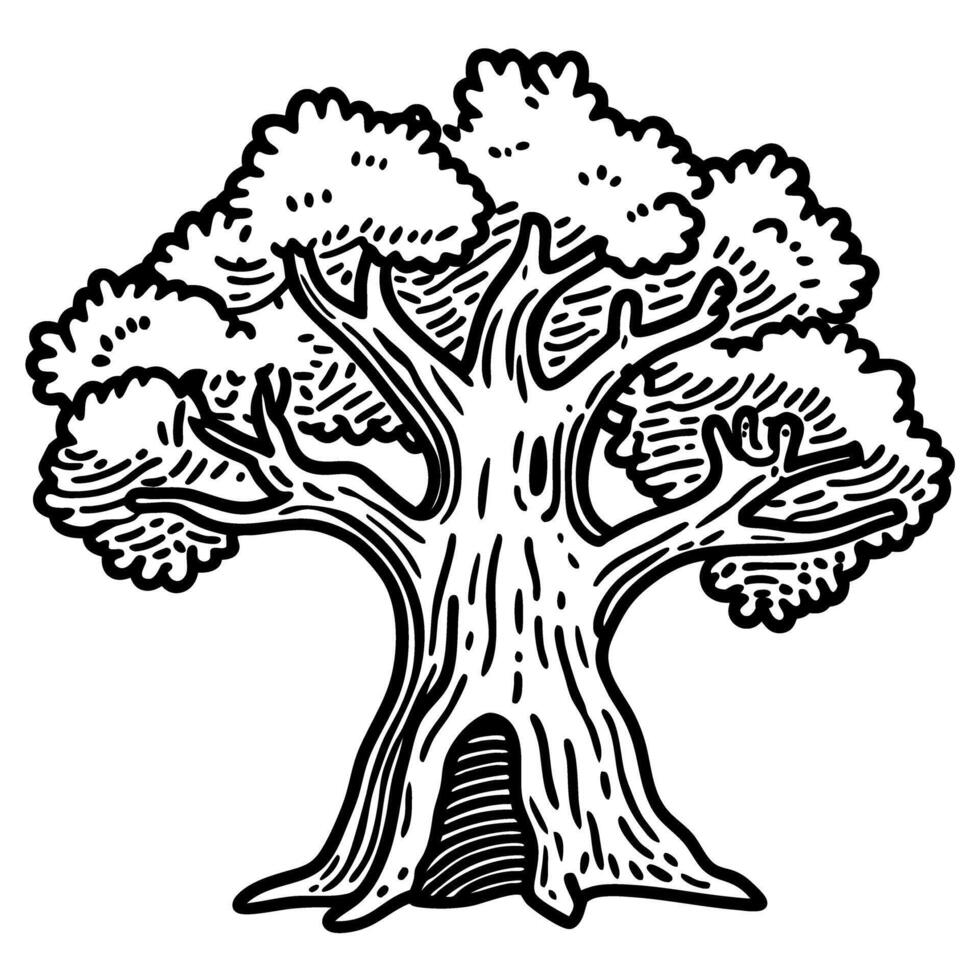 detailed oak tree drawing intricate branches and leaves in stylized black and white design vector