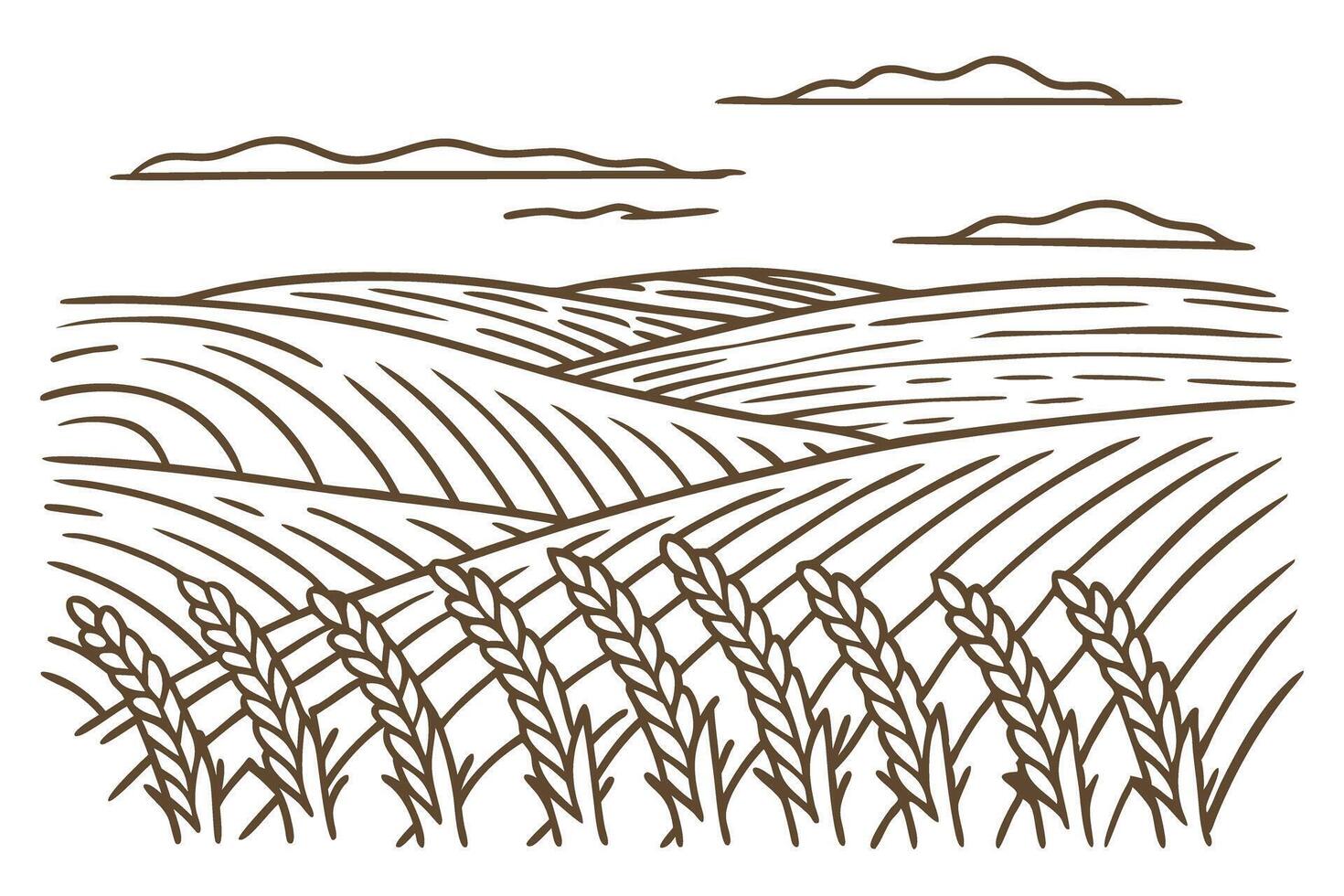 minimalist wheat field illustration with rolling hills and clouds vector