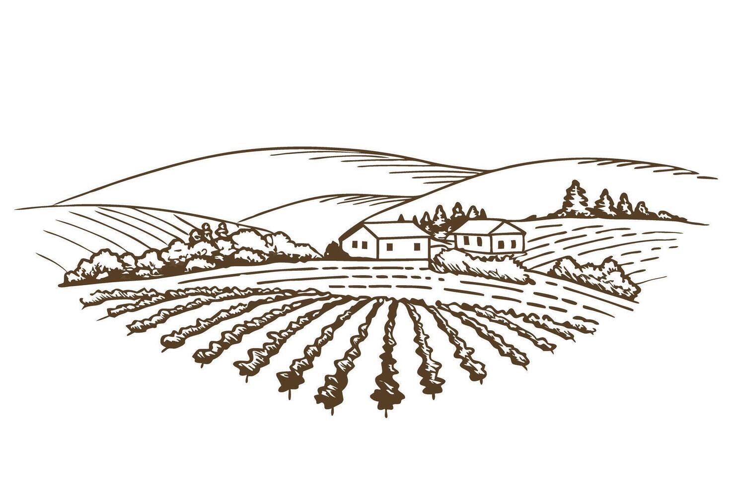 Rustic countryside landscape with farmhouses and fields, minimalist line art vector