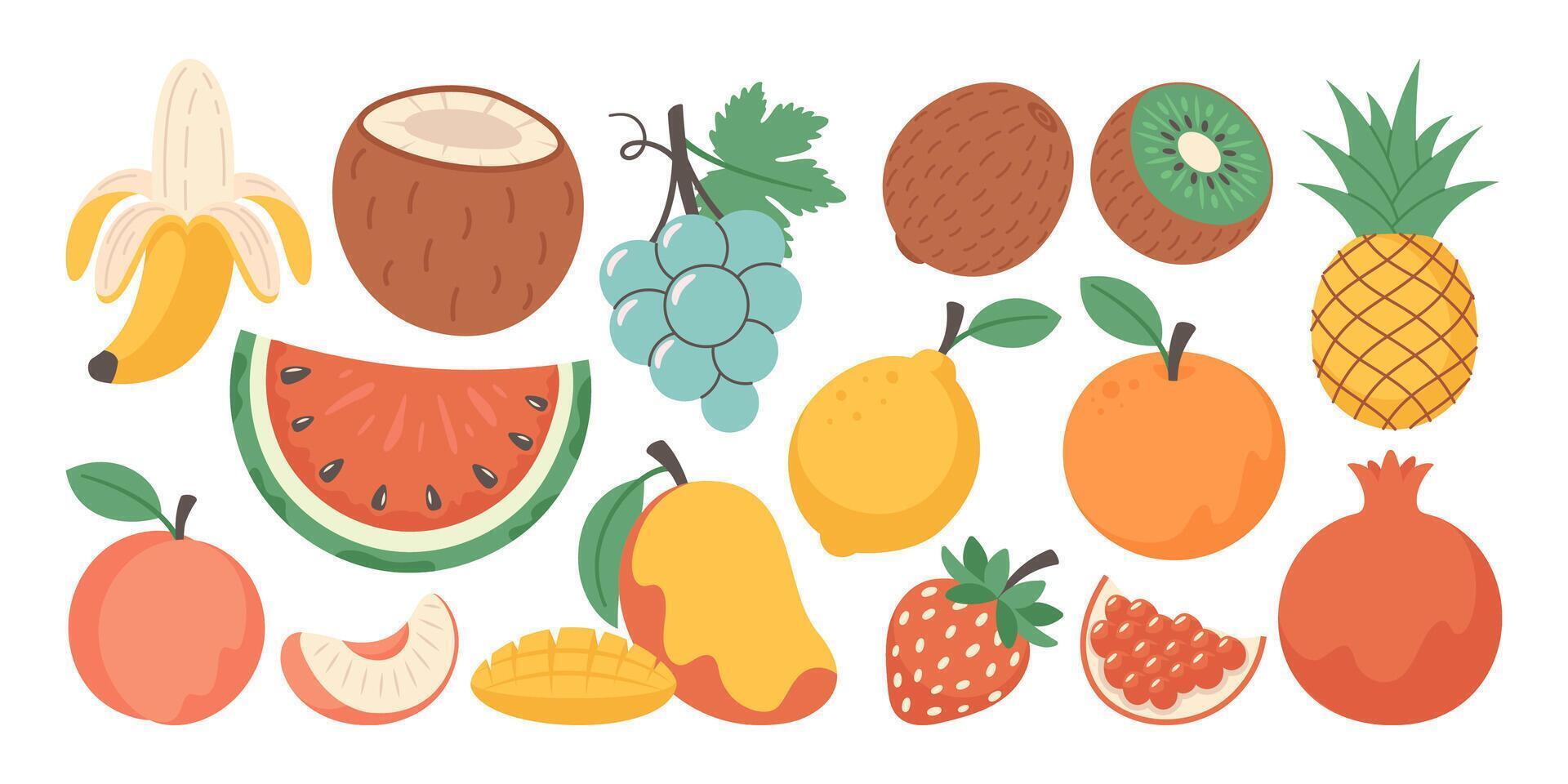 Set of various hand drawn fruits and berries on white background. Watermelon, banana, pomegranate vector