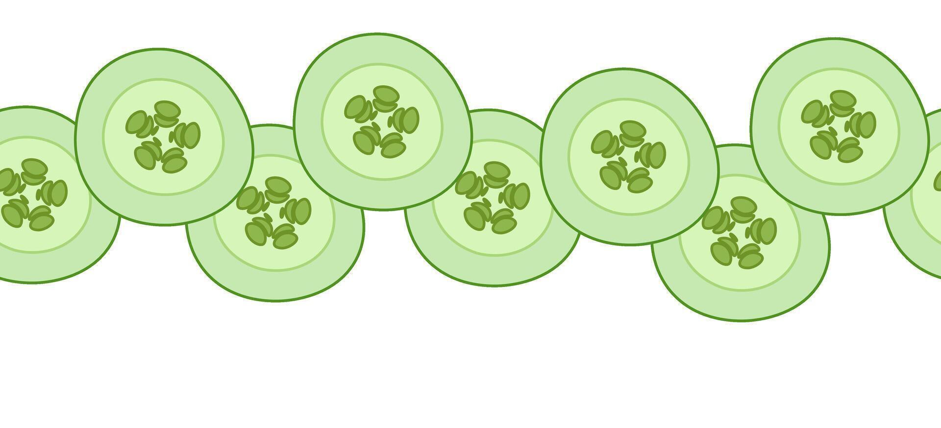 Cucumber slice horizontal seamless border. flat illustration Natural healthy organic food Flat isolated on a white background. Ideal for menu, package, cosmetic, textile, cards Eat green vector