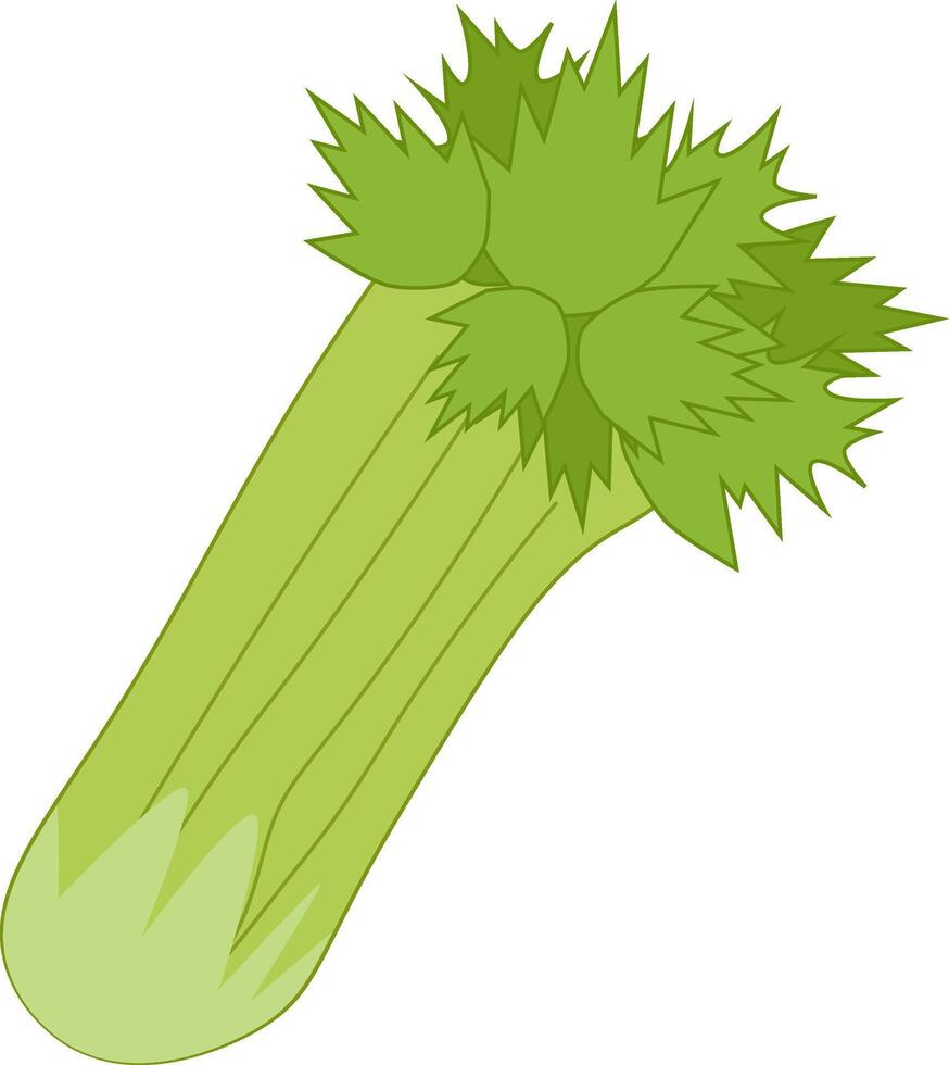 Celery Vegetable Flat Sticker Design isolated illustration. art for food design, recipe, cook book, packages, menu, food ads and decor Eat green vector