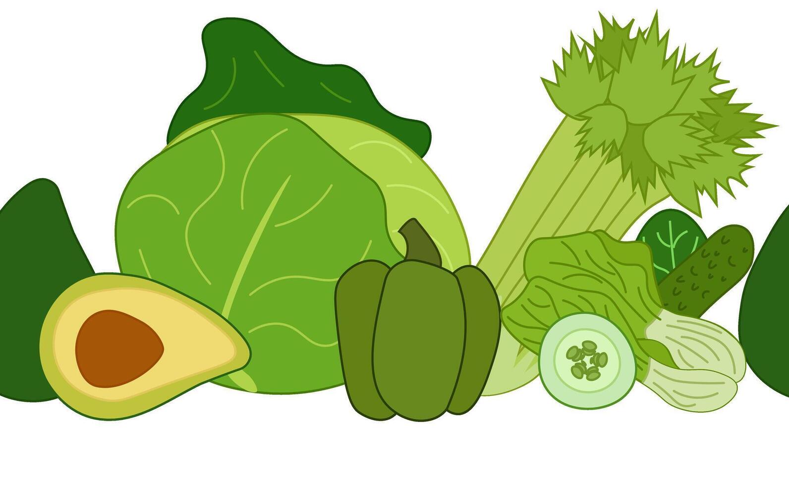 Green vegetable seamless horizontal border. flat Fresh organic veggie print for kitchen, menu, food package design with cabbage, zucchini, celery. Eat green vector