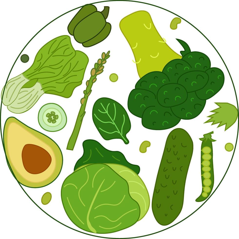 Fresh green veggies Round Composition flat composition. Banner, poster, wrapping paper, sticker, print, modern textile design. Eat green vector