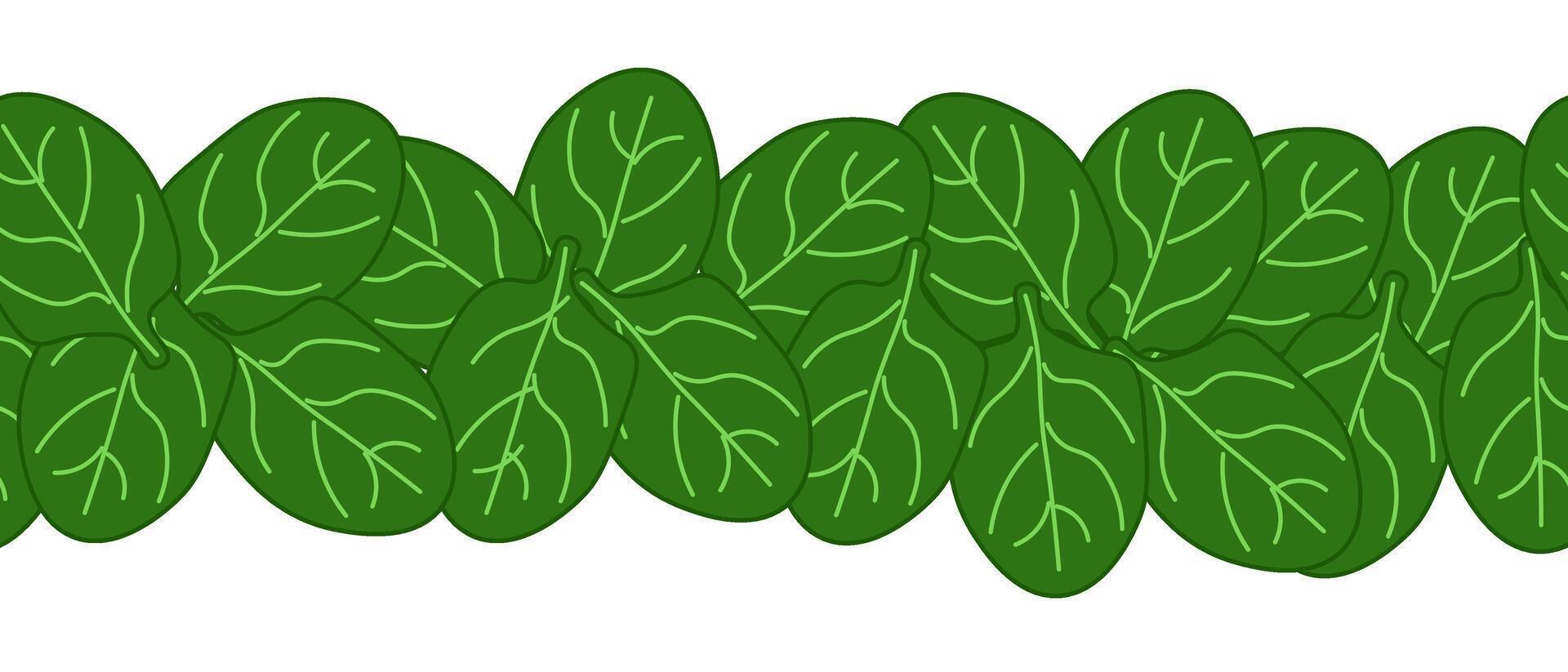 Green spinach leaves seamless horizontal border leafy vegetables frame, boxing, bordering. card template. flat illustration banners, print for fabric, labels, t-shirt printing. Eat green vector