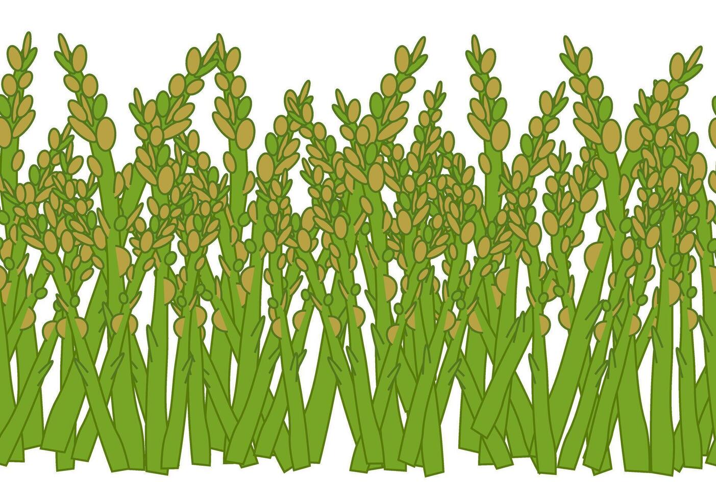 Green vegetable asparagus seamless horizontal border. Fresh organic veggie print for kitchen, menu, food package design with cabbage, zucchini, onion. Hand drawn flat illustration. vector