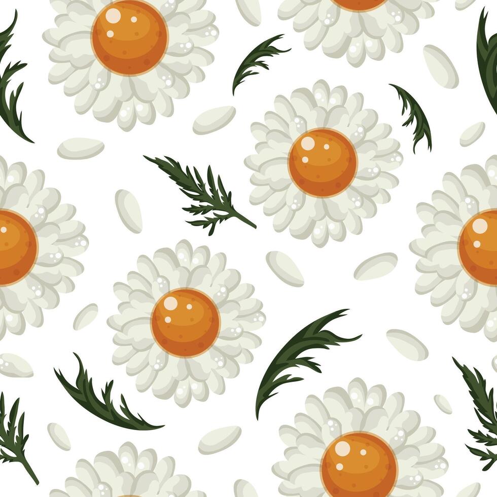 floral seamless pattern with open white daisies, green leaves and white petals, for various packaging or textiles or holiday cards vector