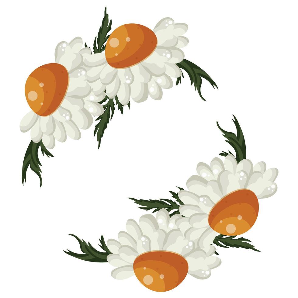 floral frame with open white daisies and green leaves, for greeting cards and designs vector
