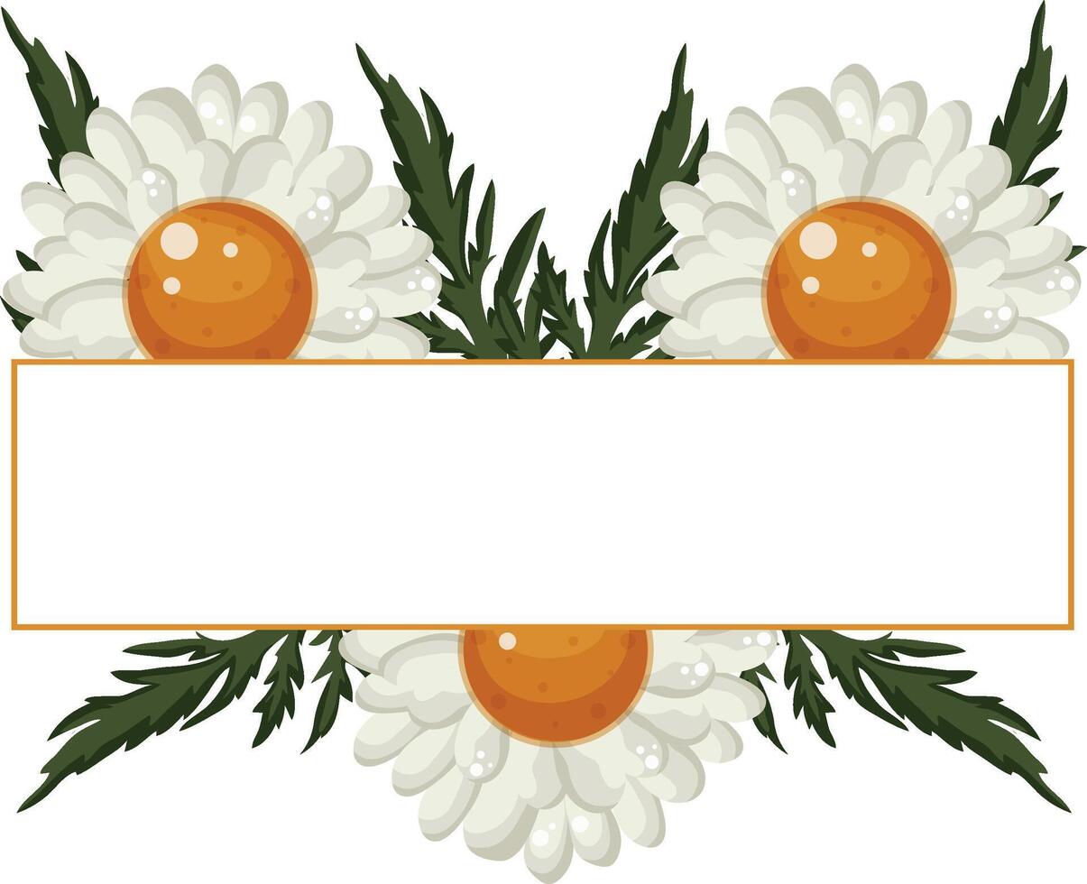 floral rectangular frame with various white daisies buds and with green leaves and a white rectangle in the middle, for greeting cards and design vector