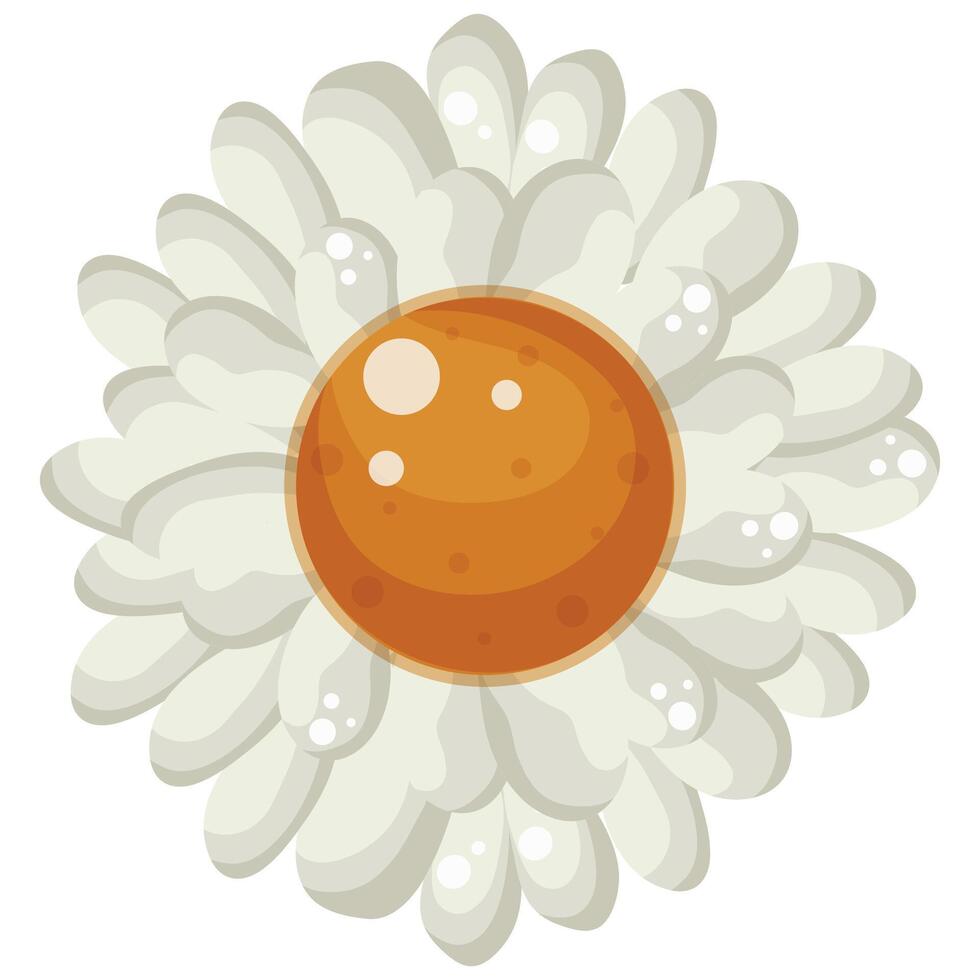 Colored icon of an open white daisy bud with a yellow center, for various designs and backgrounds with flowers vector
