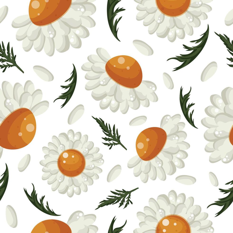 floral seamless pattern with various open white daisies, green leaves and white petals, for packaging or textiles or holiday cards vector
