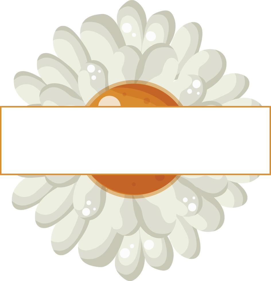 floral rectangular frame with various white daisies buds and with green leaves and a white rectangle in the middle, for greeting cards and designs vector