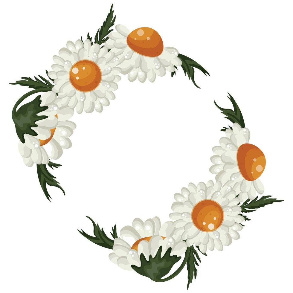 floral frame with various white daisies buds and green leaves, for greeting cards and designs vector
